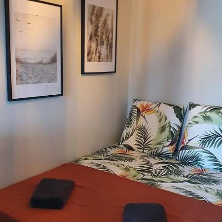 Tropical - Appt Climatise - Proche Plage - Aquarium - Parking - Wifi Canet-en-Roussillon Dış mekan fotoğraf